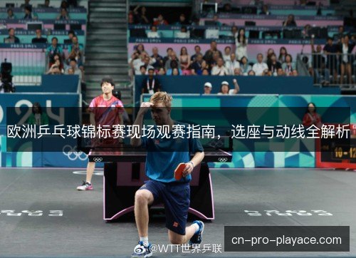 欧洲乒乓球锦标赛现场观赛指南，选座与动线全解析